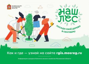 С 16 по 30 сентября в Подмосковье пройдет Акция «Наш лес. Посади свое дерево»